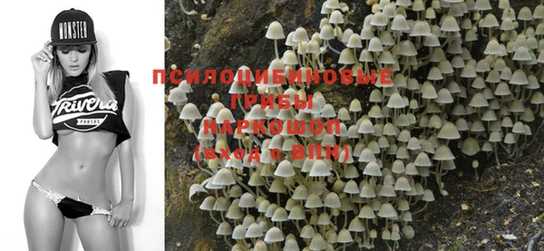 таблы Зеленокумск