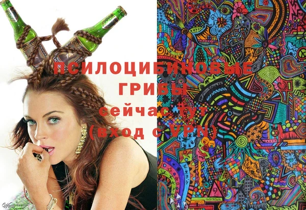 хмурый Алексеевка