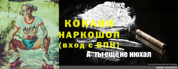 хмурый Алексеевка
